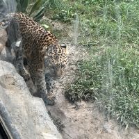 評論圖片 6
