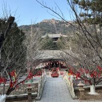 評論圖片 6
