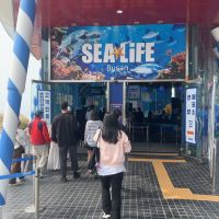 評論圖片 1