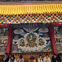 評論圖片 6