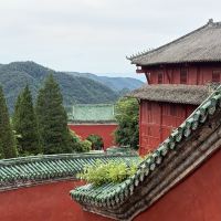 評論圖片 3