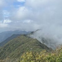 評論圖片 4
