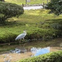 評論圖片 3
