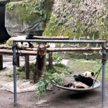 評論圖片 2