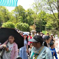 評論圖片 6