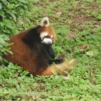 評論圖片 4