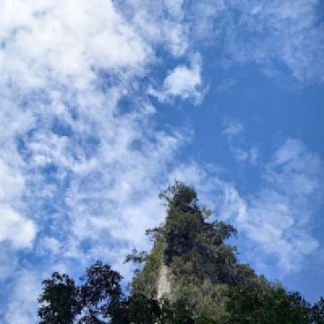 評論圖片 5