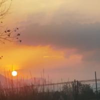 評論圖片 6