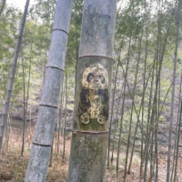 評論圖片 8