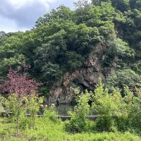 評論圖片 4