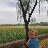 評論圖片 3