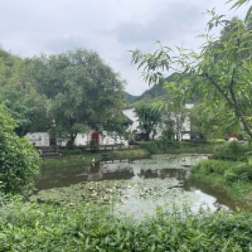 評論圖片 6