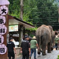 評論圖片 1
