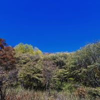 評論圖片 9
