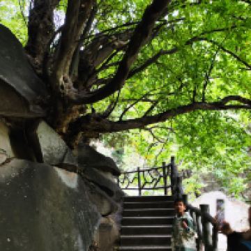評論圖片 2