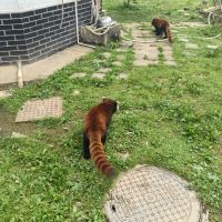 評論圖片 3