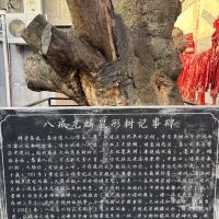 評論圖片 7
