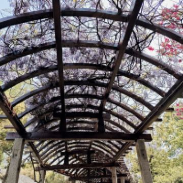 評論圖片 9