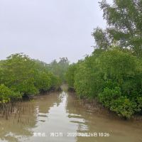 評論圖片 4