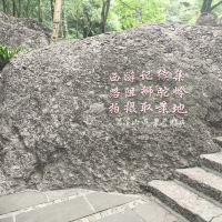 評論圖片 3