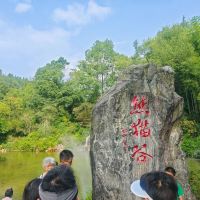 評論圖片 9