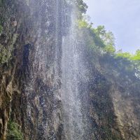 評論圖片 5