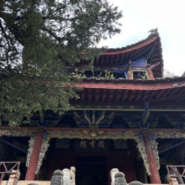 評論圖片 3