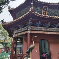 評論圖片 2