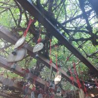 評論圖片 8