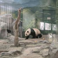 評論圖片 7