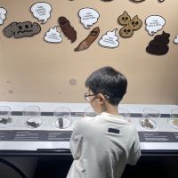 評論圖片 5