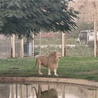 評論圖片 5
