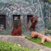 評論圖片 5