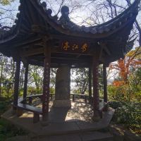 評論圖片 4