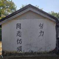 評論圖片 6