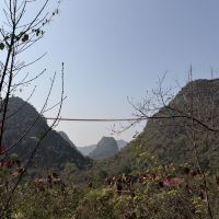評論圖片 4