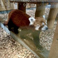 評論圖片 3