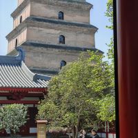 評論圖片 7