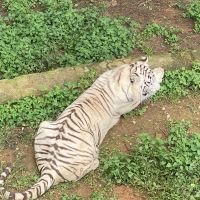 評論圖片 5
