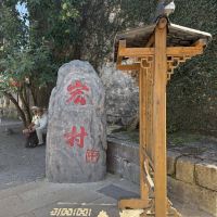評論圖片 4
