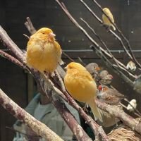 評論圖片 4