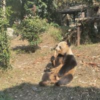 評論圖片 1