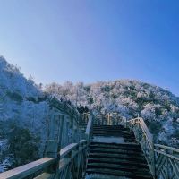 評論圖片 3