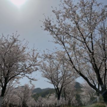 評論圖片 9