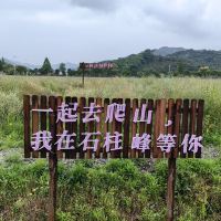 評論圖片 6