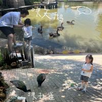 評論圖片 5