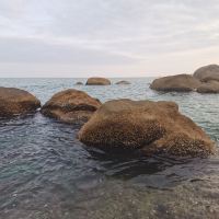 評論圖片 1