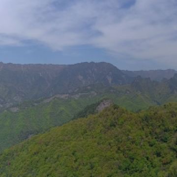 評論圖片 5