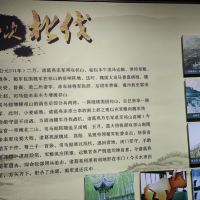 評論圖片 5