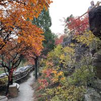 評論圖片 3
